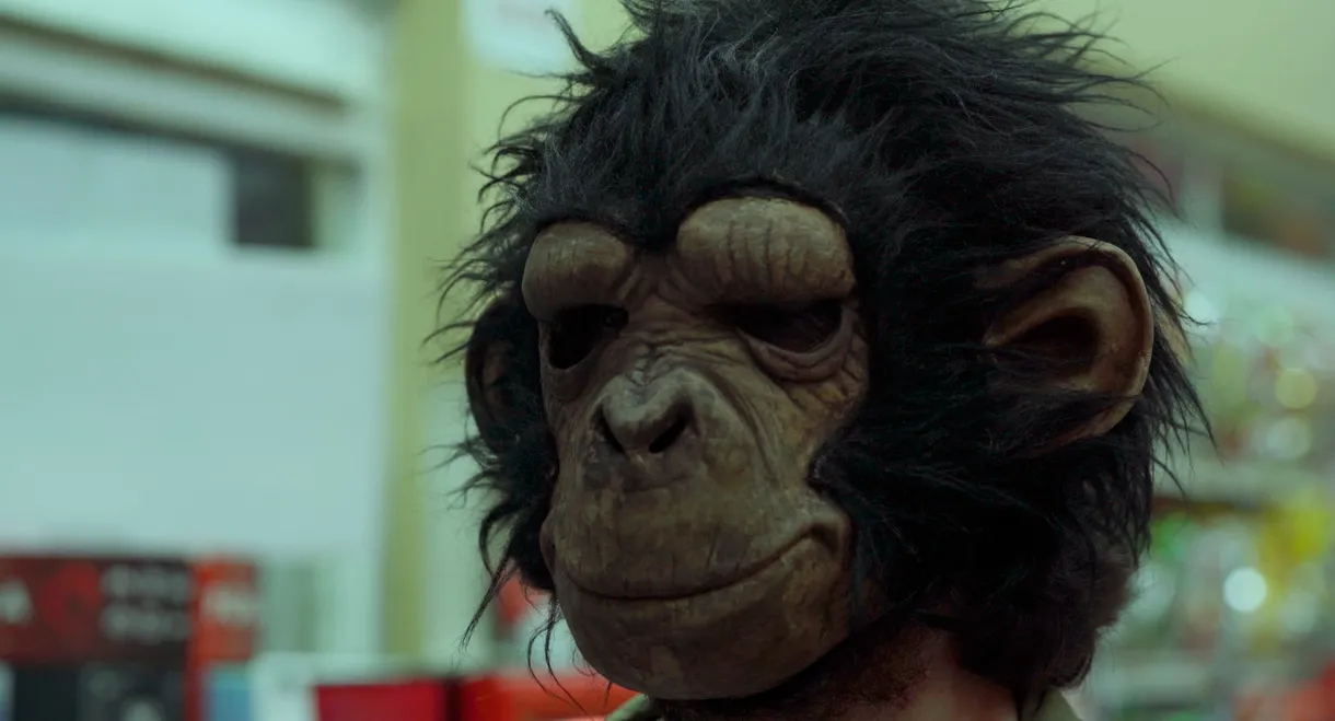 Uno De Muchos