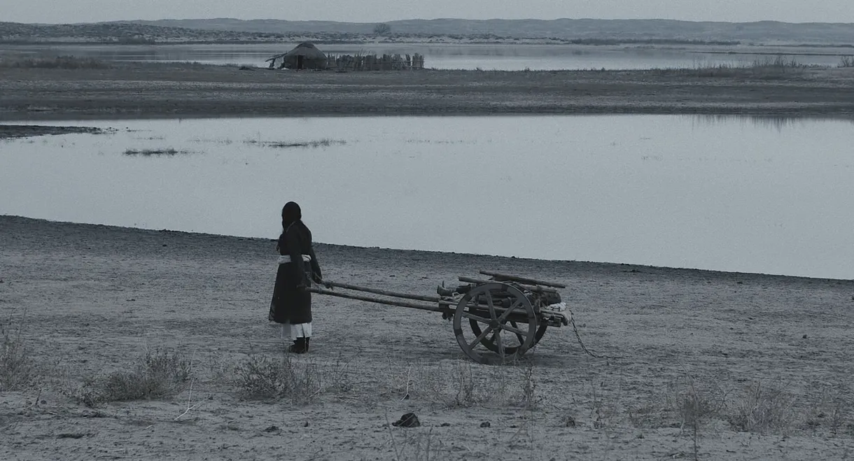 The Land Where Winds Stood Still