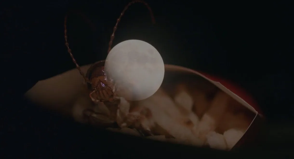 Roach Trip