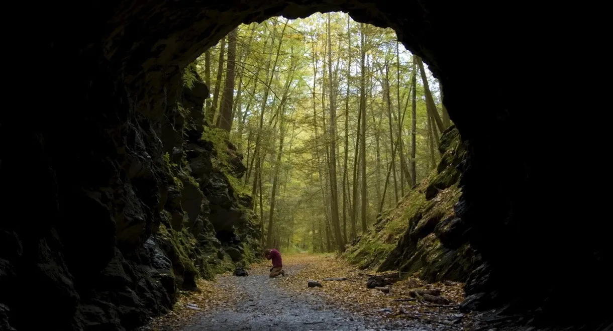 Tunnel