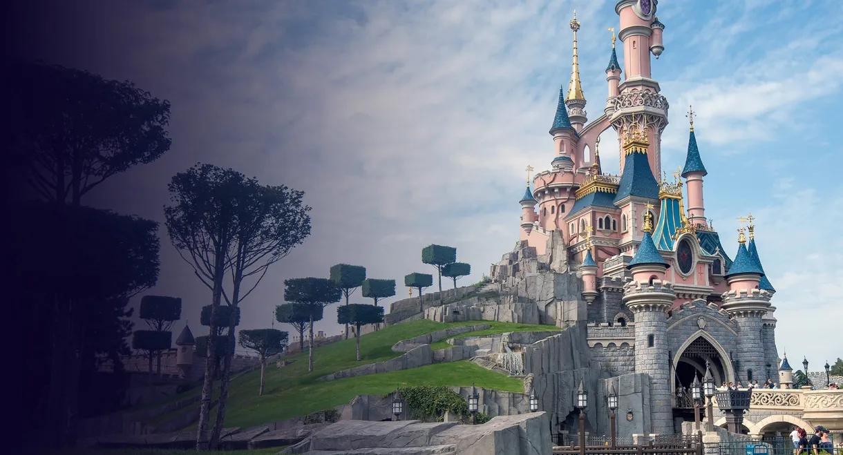 Il était une fois Disney & la France