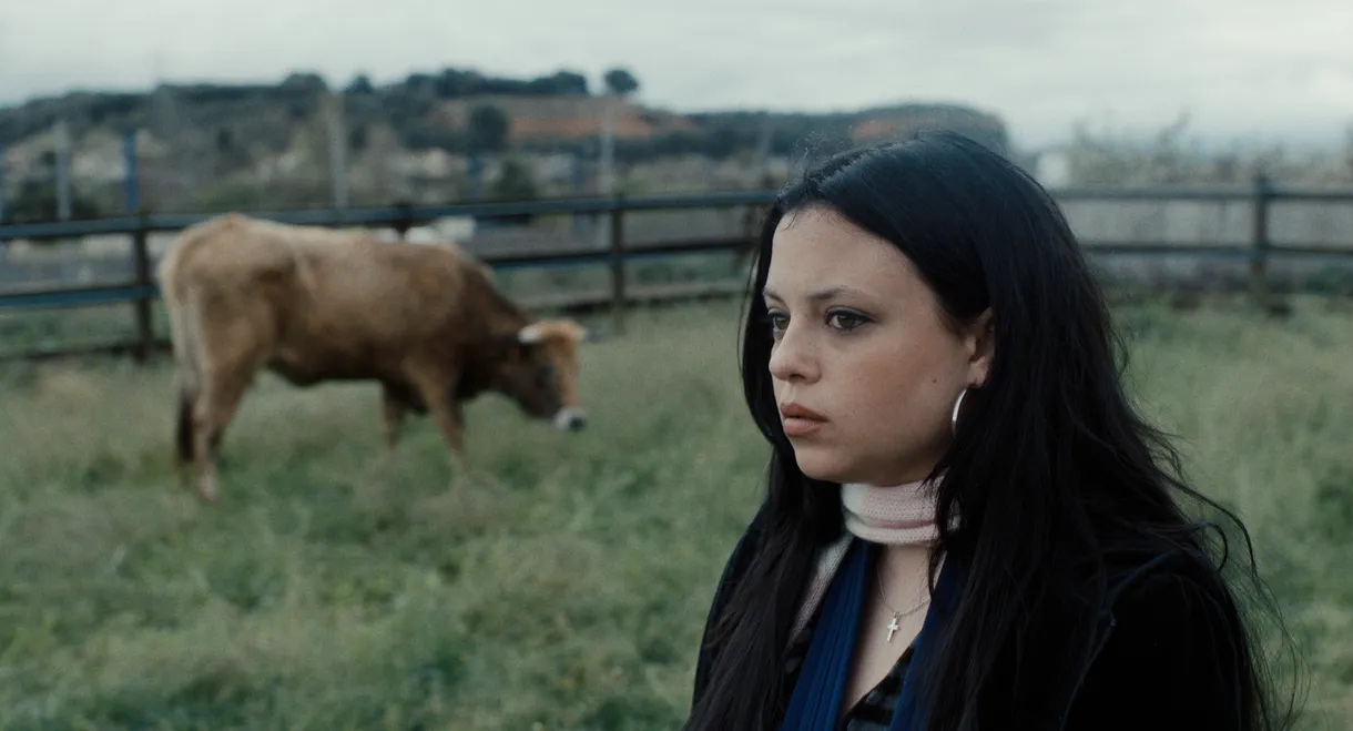 Me, You and the Cow