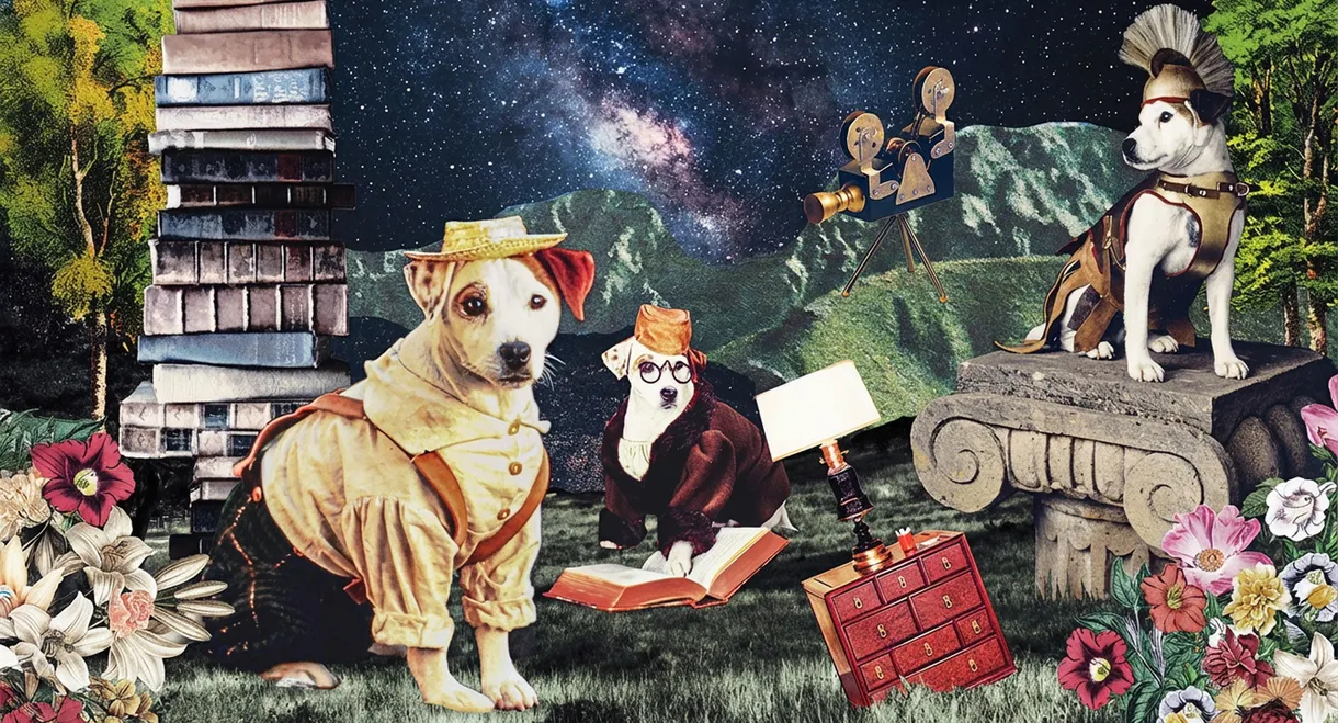 Wishbone