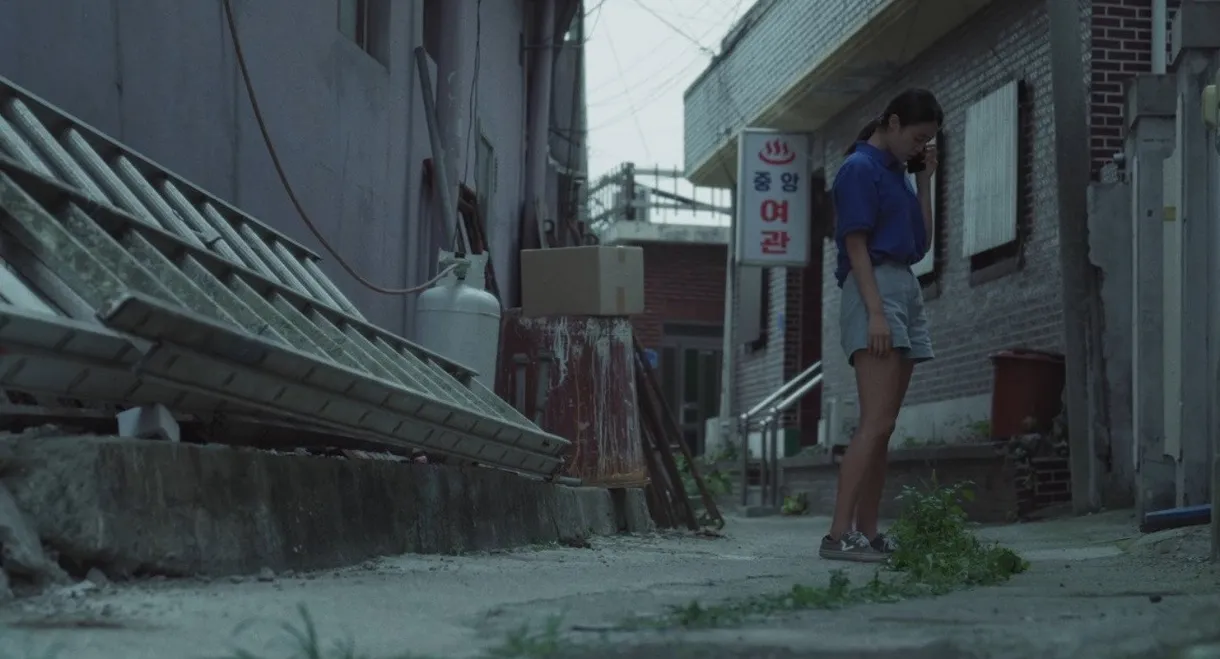 The Summer That Slipped Away