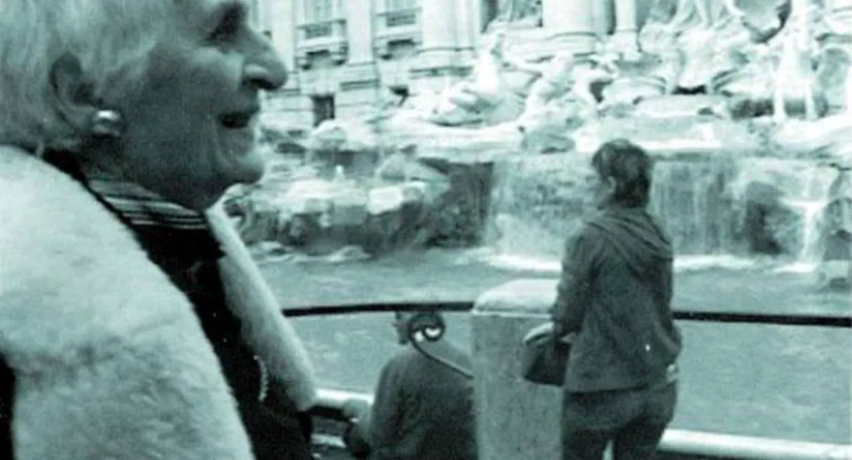THE INTERPRETER OF BLACK AND WHITE FILMS