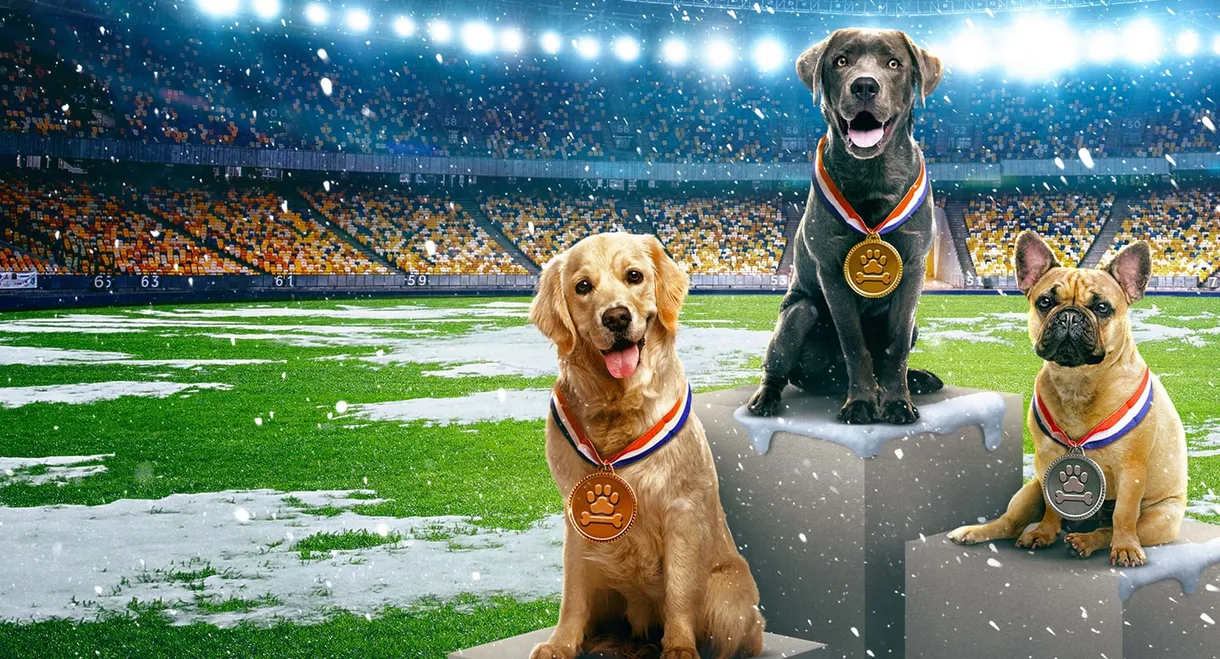 Puppy Bowl Presents: The Winter Games