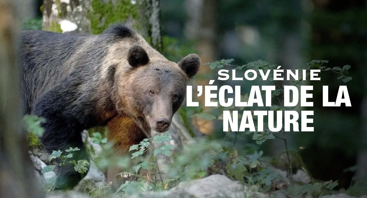 Slovénie - L’éclat de la nature