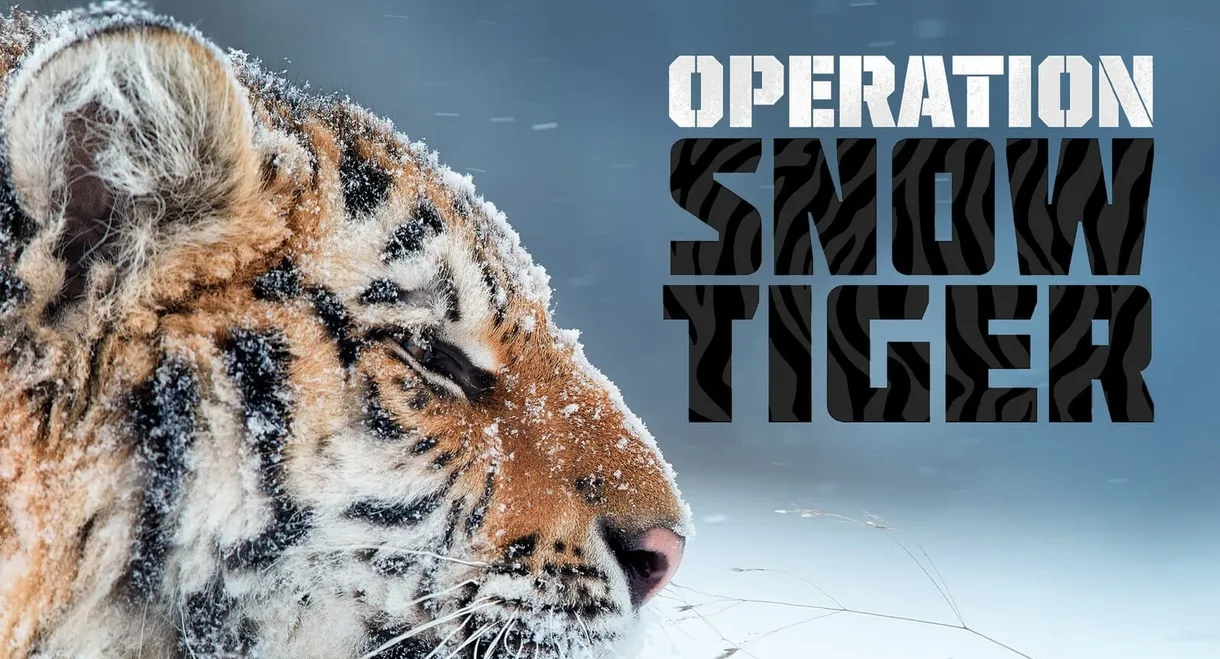 Operation Snow Tiger