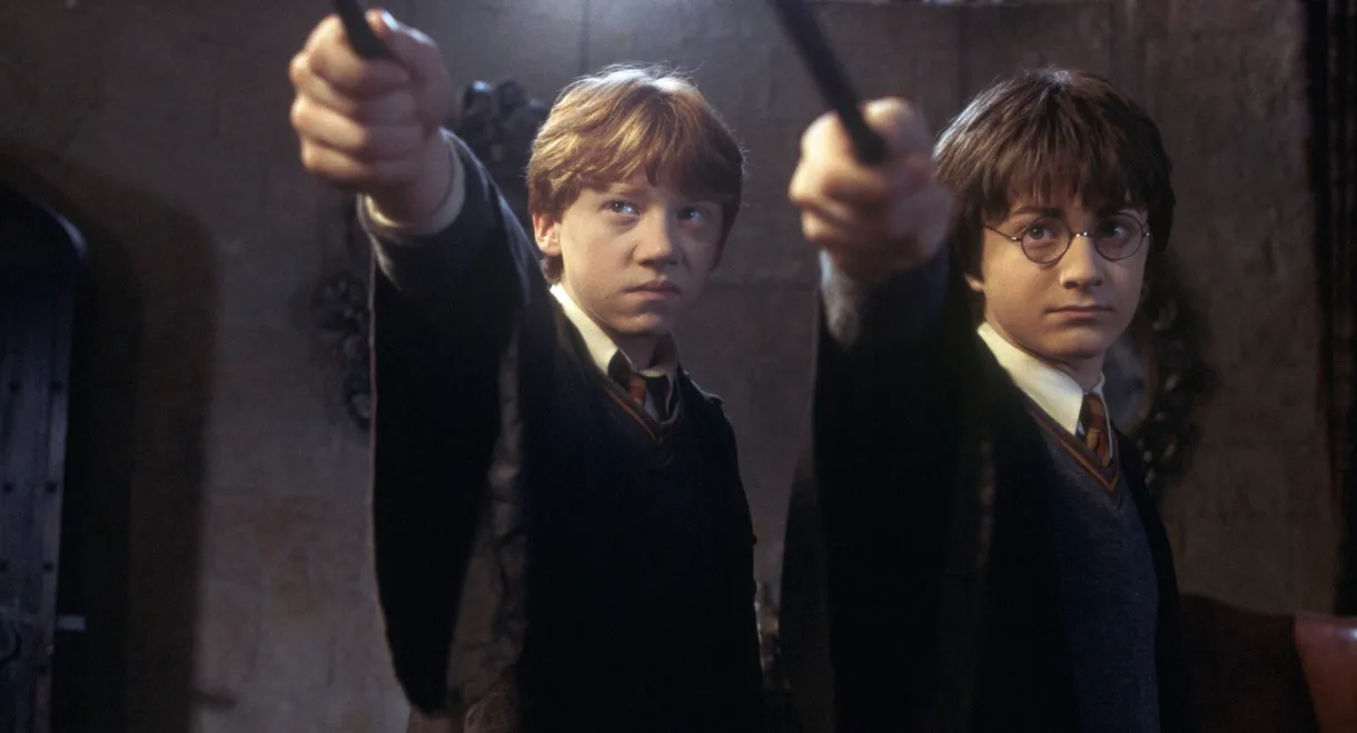 Harry Potter and the Chamber of Secrets