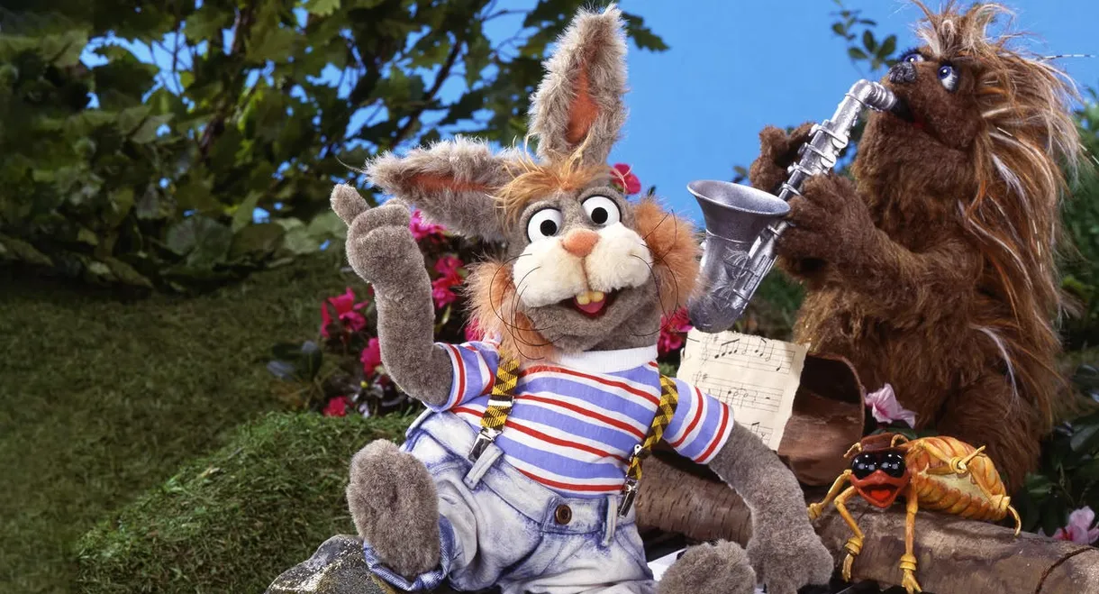 Muppet Sing Alongs: Billy Bunny's Animal Songs