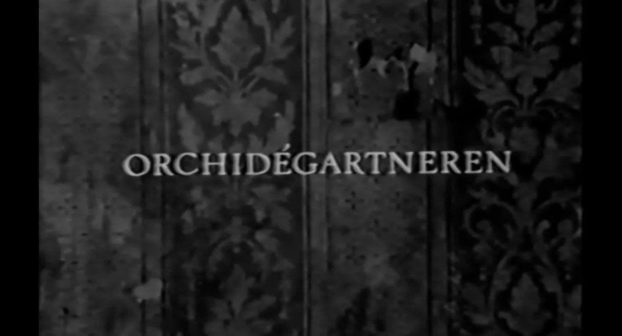 The Orchid Gardener