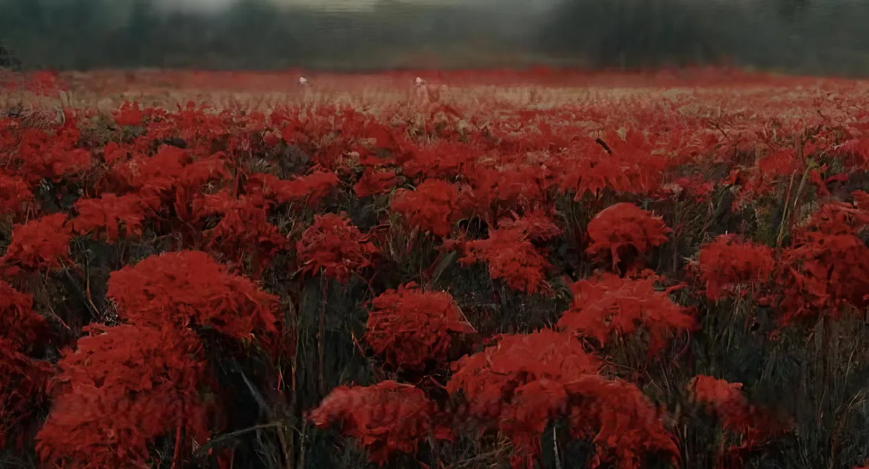 Red Lillies