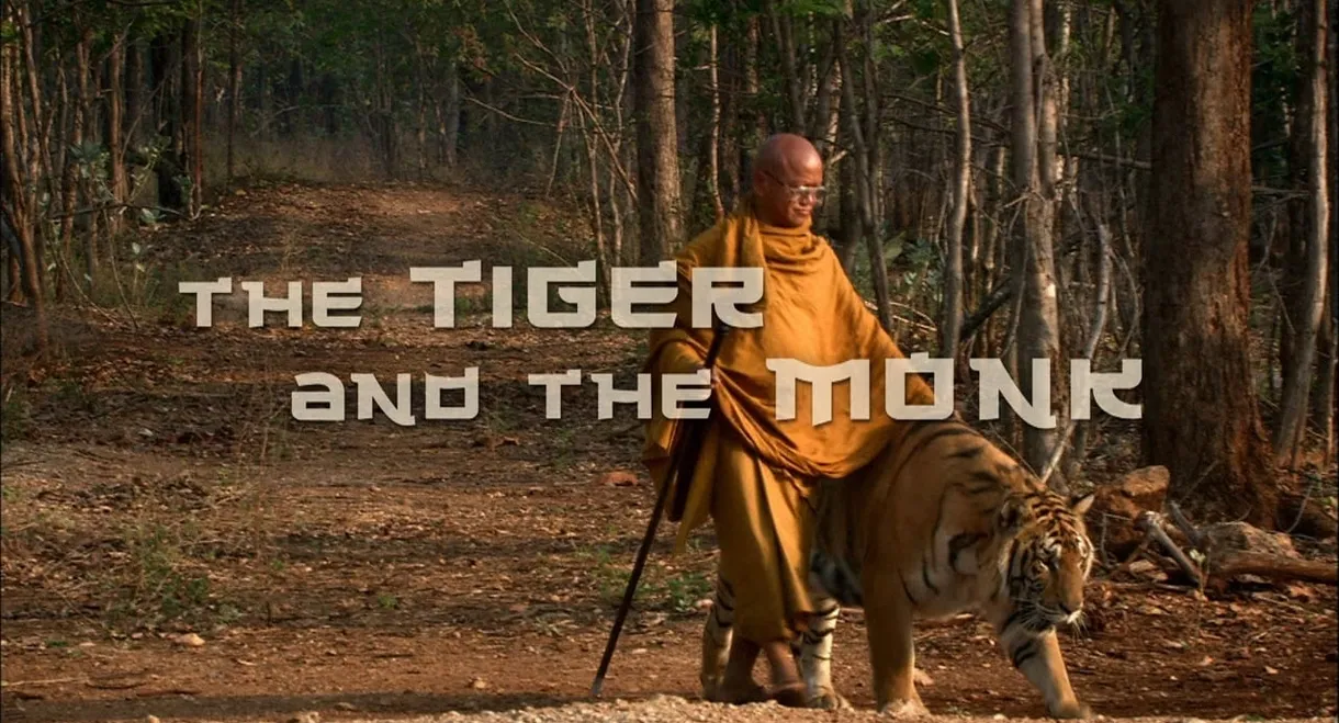 The Tiger and the Monk