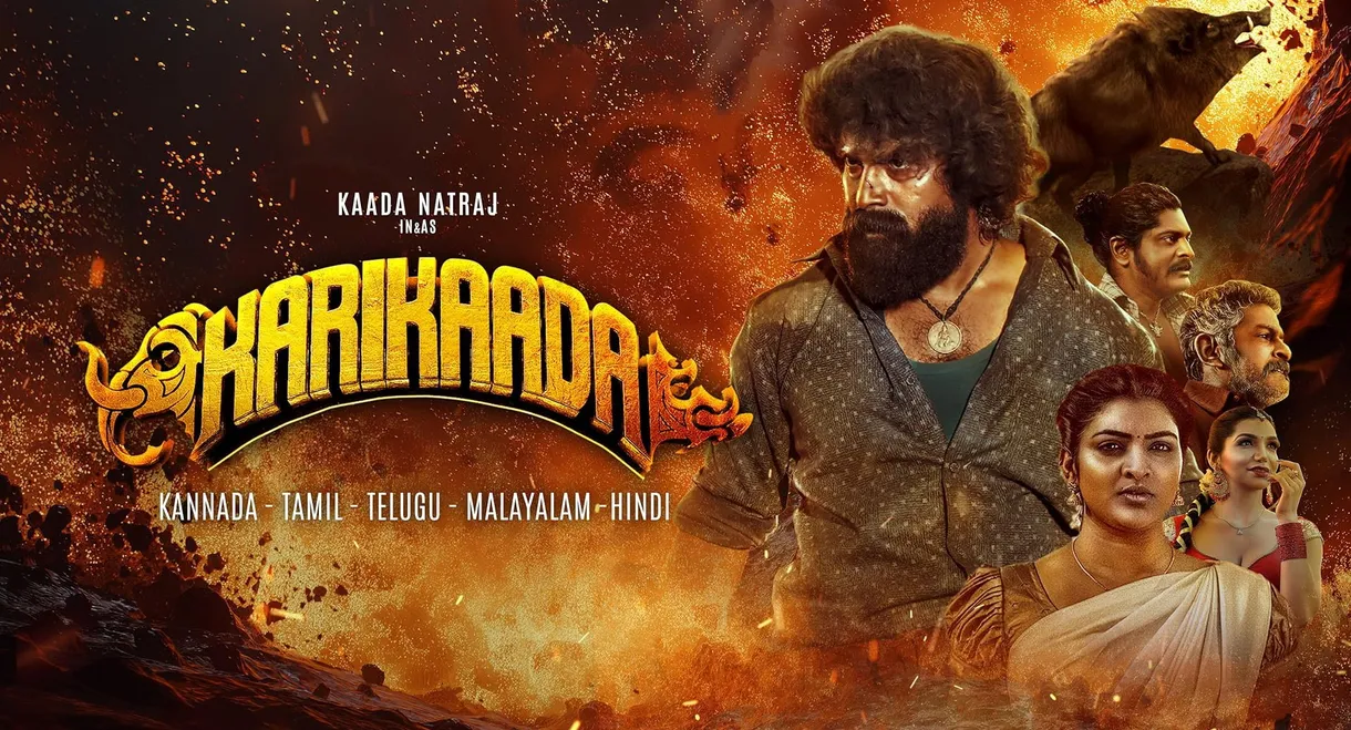 Karikaada