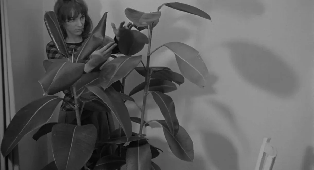 The Botanical Avatar of Mademoiselle Flora