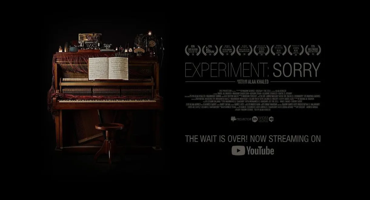 Experiment: Sorry