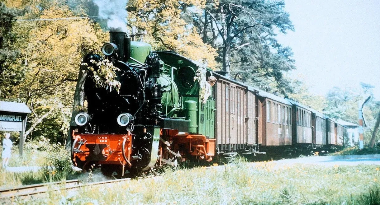 Der rasende Roland