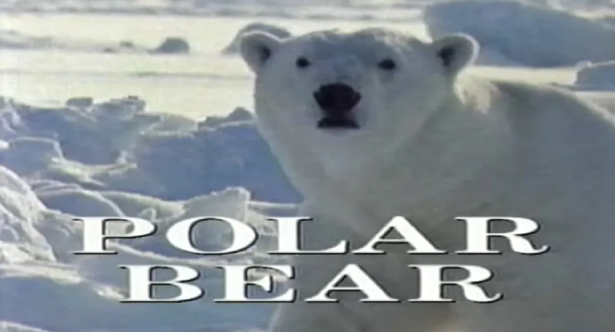 Predators of the Wild: Polar Bear