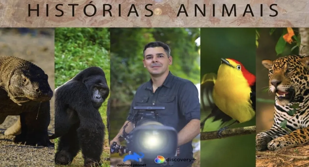 Histórias de Animais