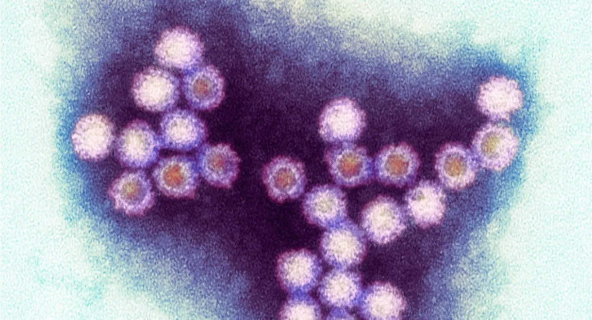 Winter Viruses and How to Beat Them