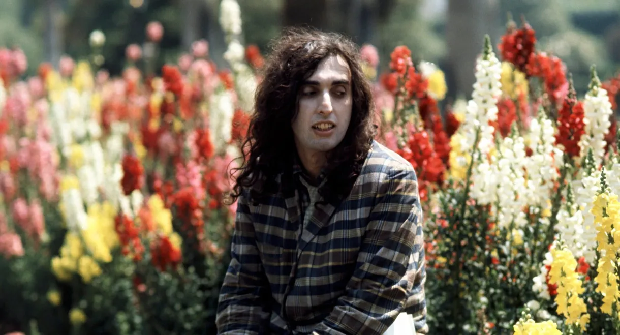 Tiny Tim: King for a Day