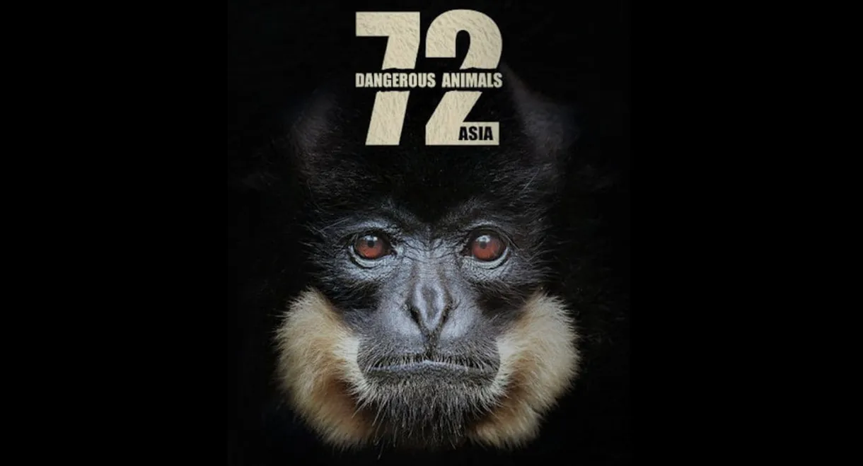 72 Dangerous Animals: Asia