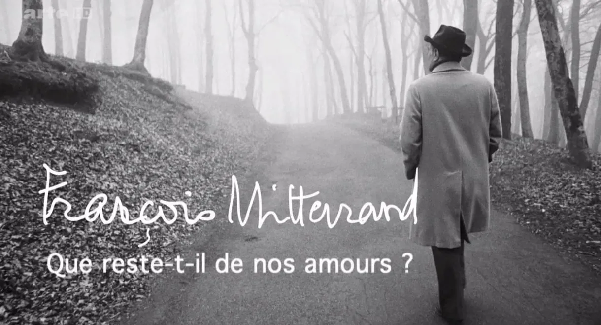 François Mitterrand : que reste-t-il de nos amours ?