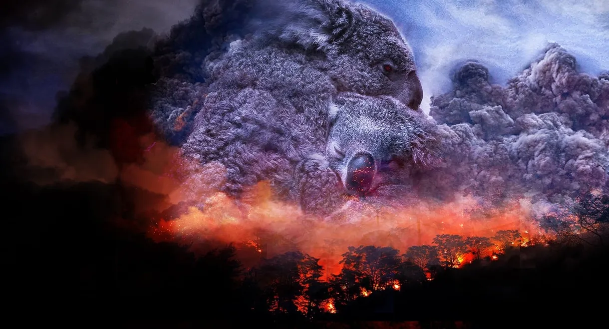 Wild Australia: After the Fires