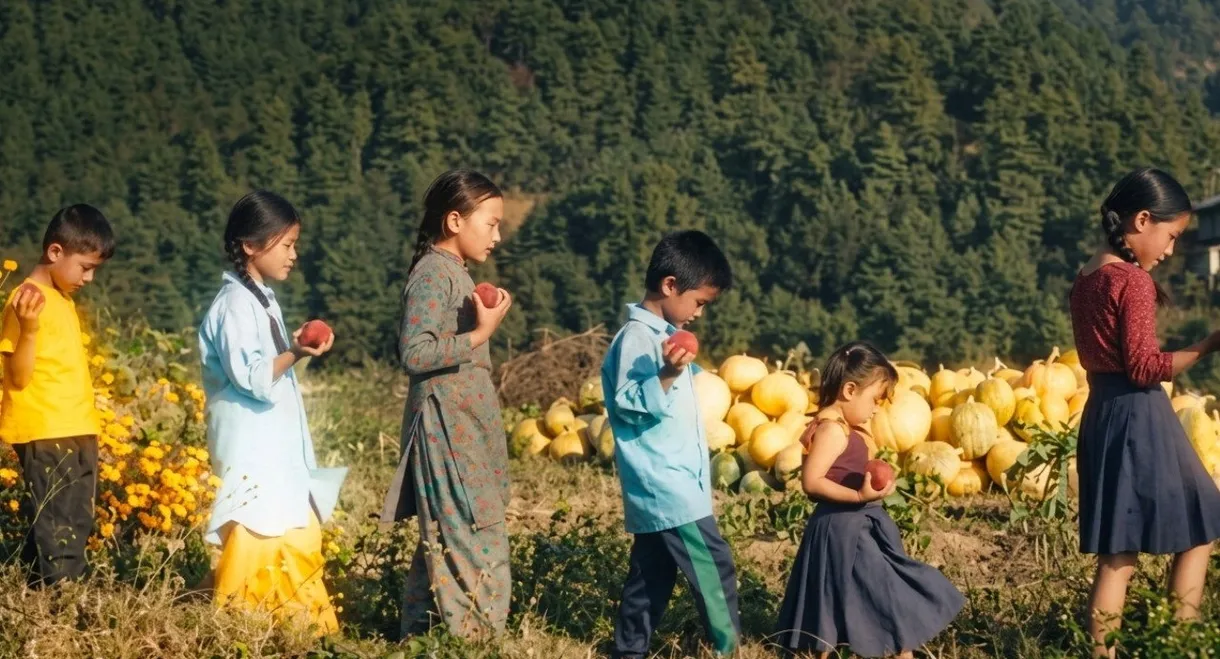 What grows in Thari Maila’s vegetable garden?