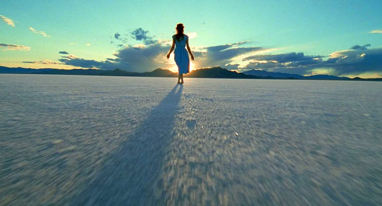 Rosy-Fingered Dawn: A Film on Terrence Malick