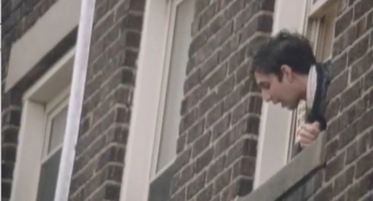 The Back of Her Head