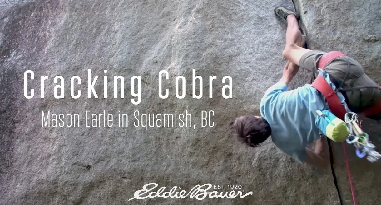 Cracking Cobra