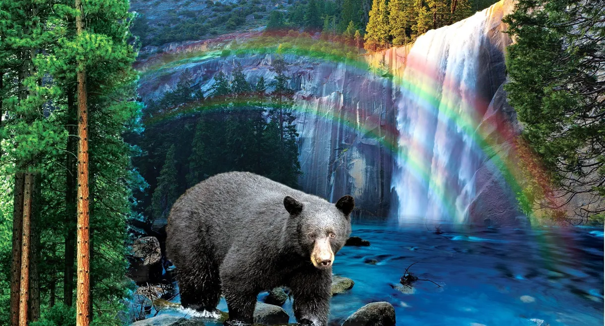 Yosemite: America's Treasure