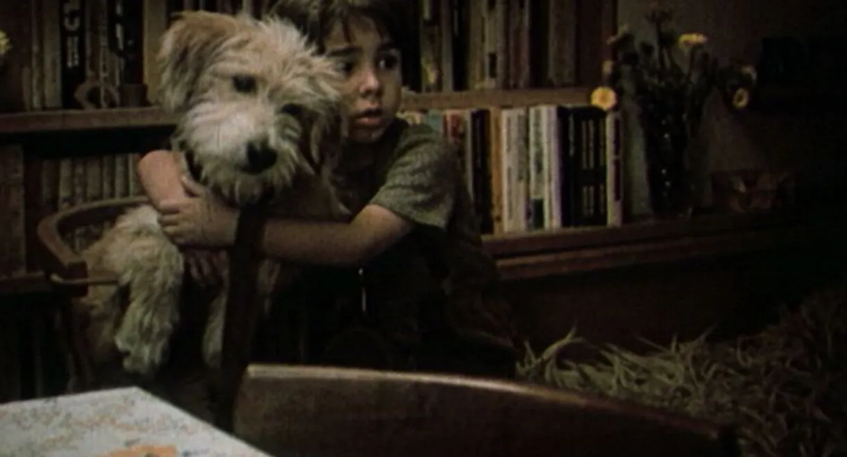 A Dog in a Drawer