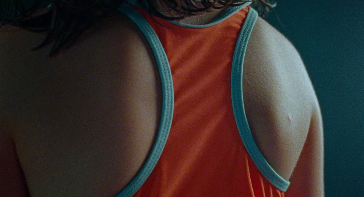 The Swimsuit