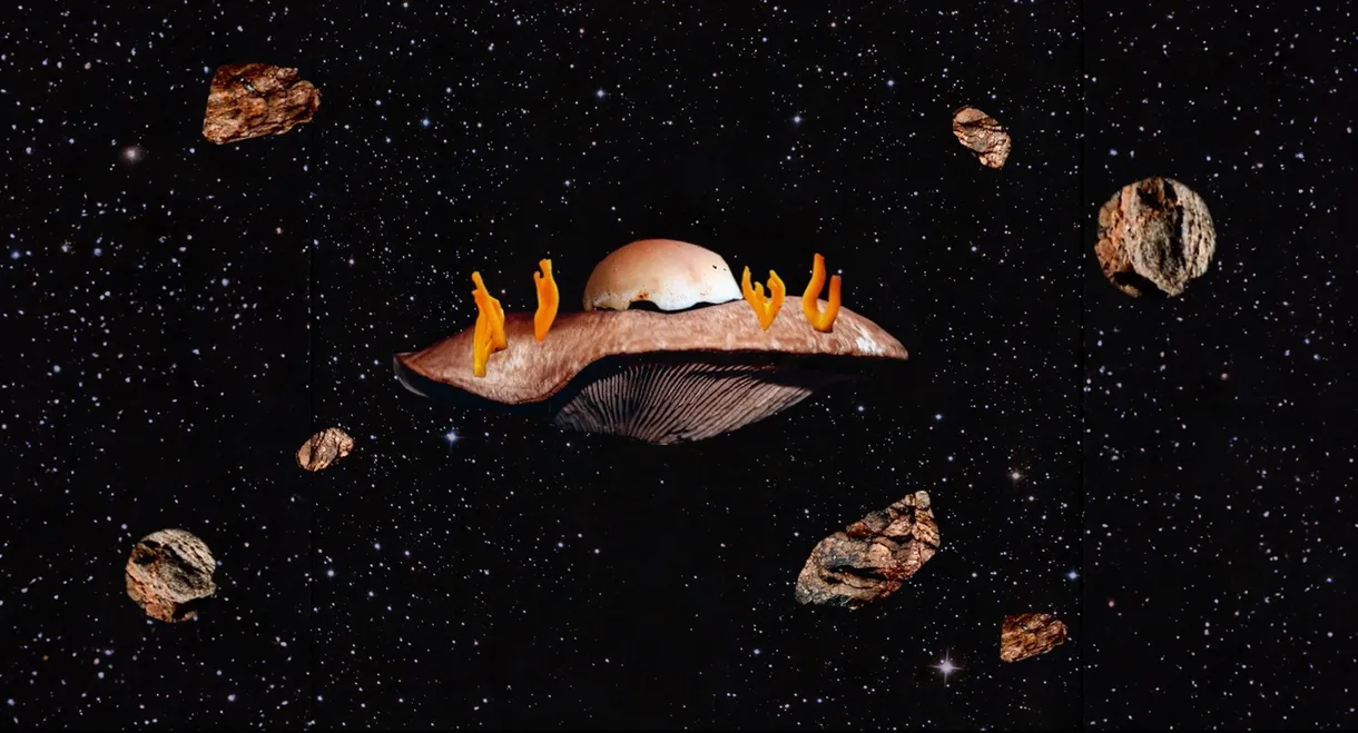 Empire fongique