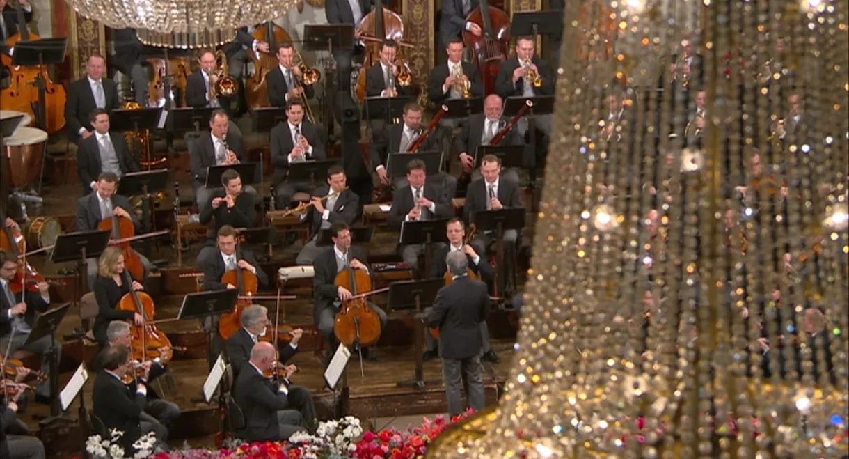 New Year's Concert: 2016 - Vienna Philharmonic