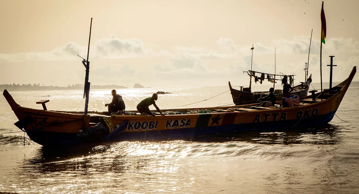 The Fisherman