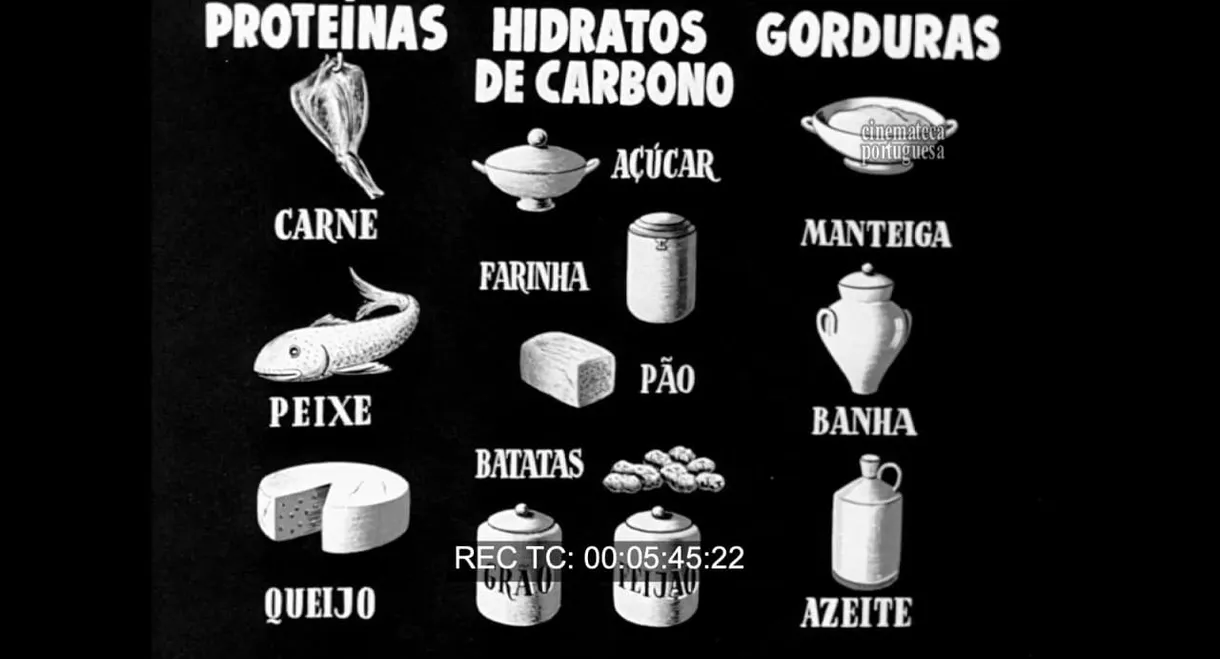 Aprenda a Comer! O Desperdício Alimentar