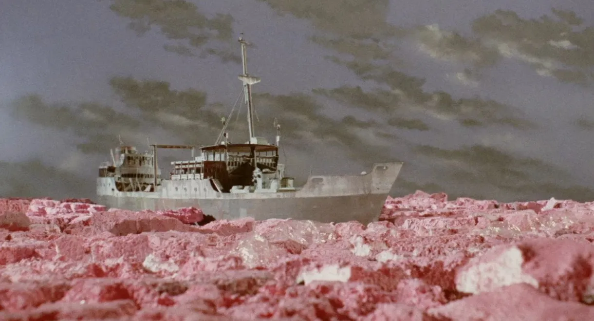 Stingray: Pink Ice