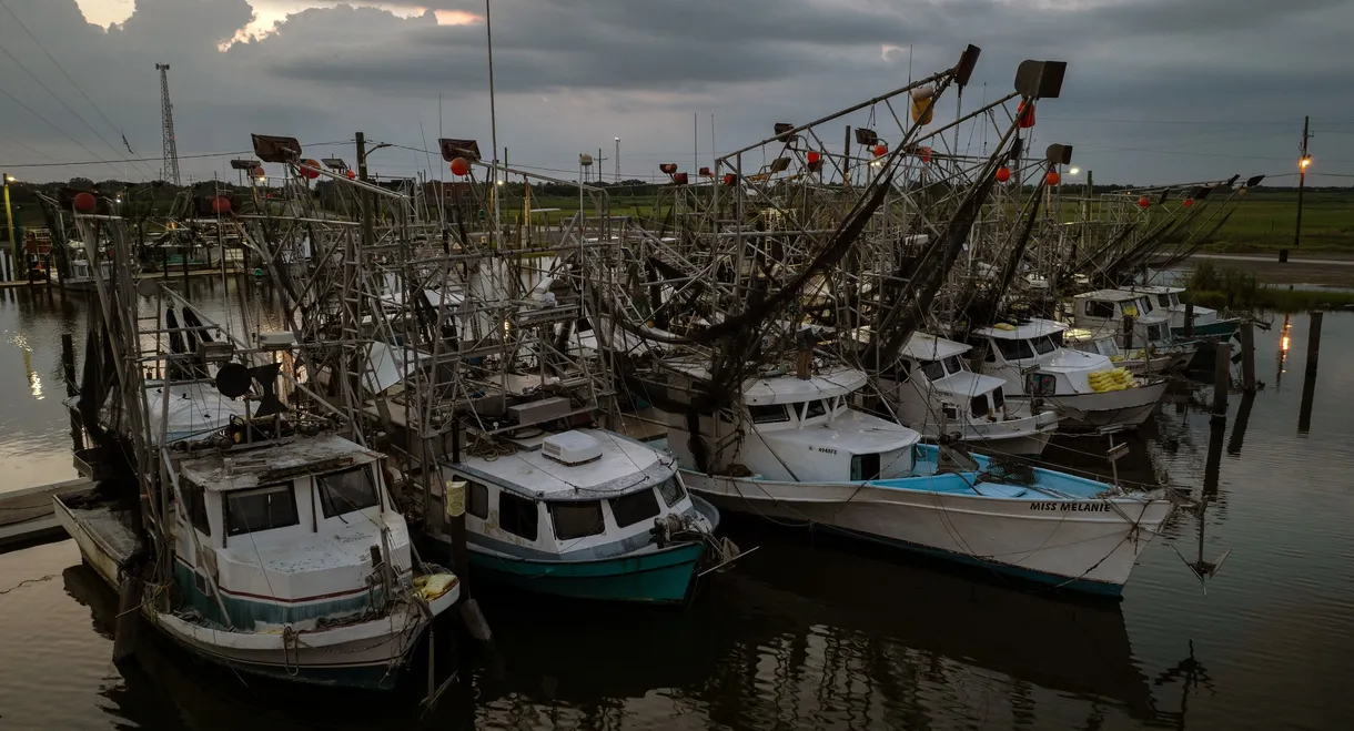 Last of the Shrimpers
