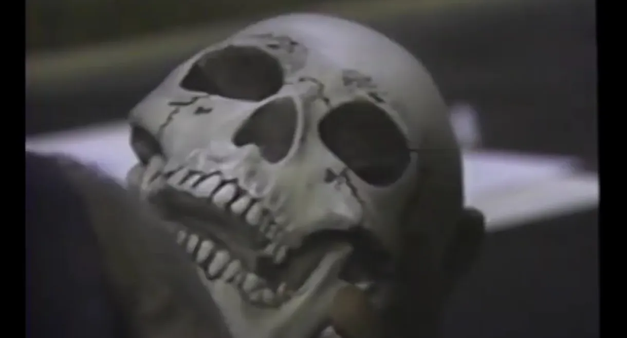 Heavy Metal Massacre