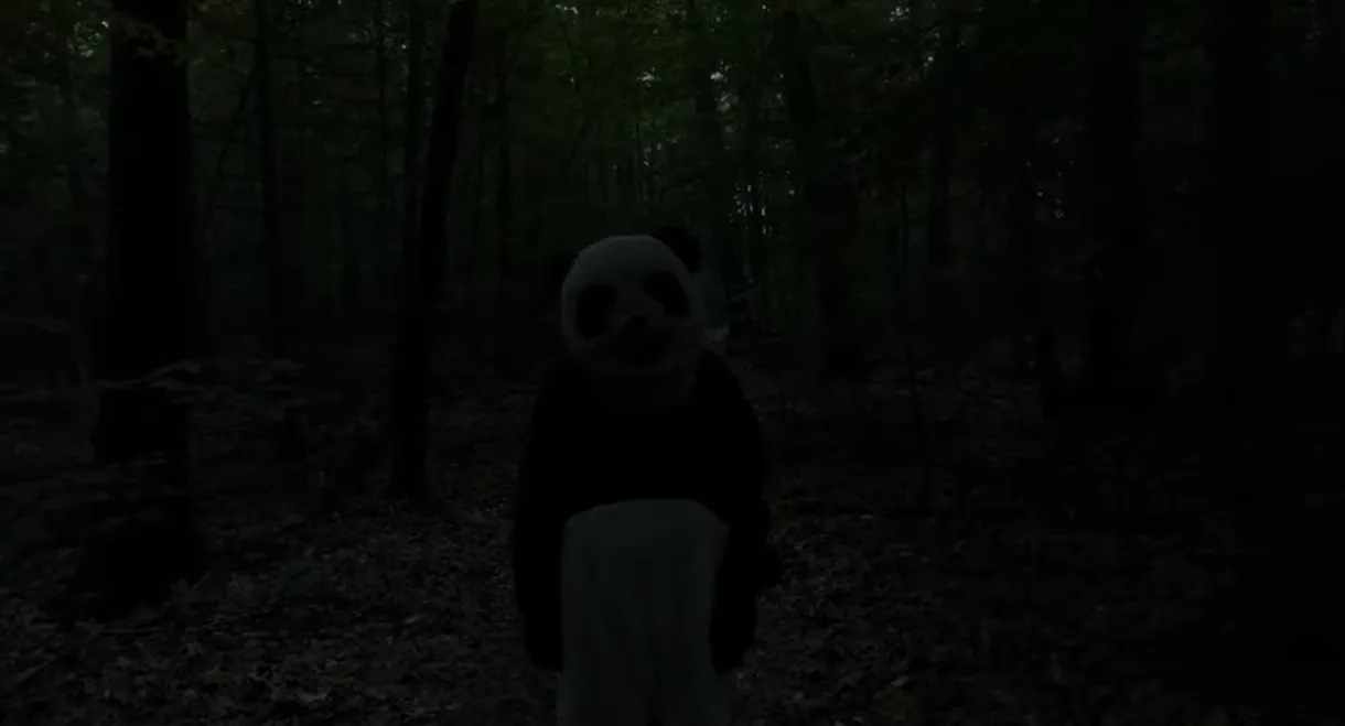 The Wild Panda