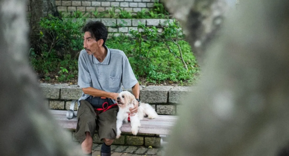 Old Man and A Dog