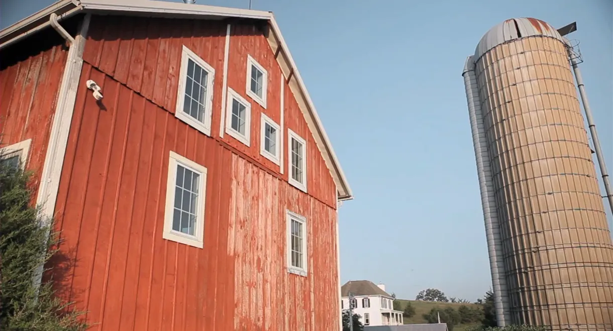 Andrew Bird: Fever Year