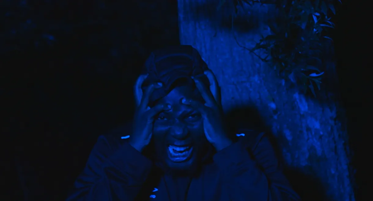 The Prisoner