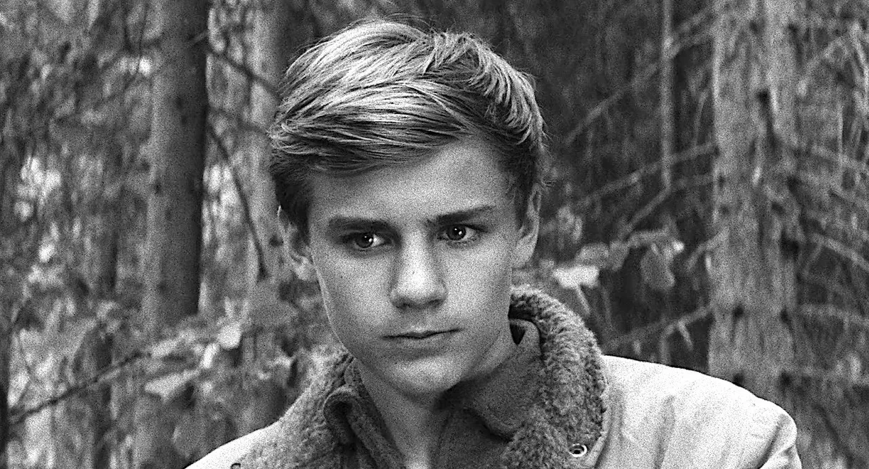 The Boy in the Tree