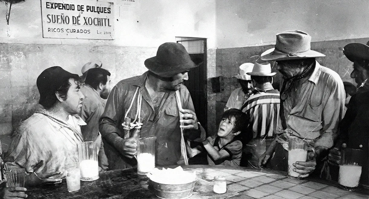 The Bricklayers