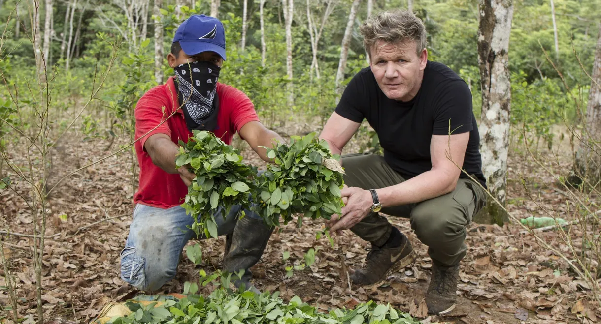 Gordon Ramsay on Cocaine