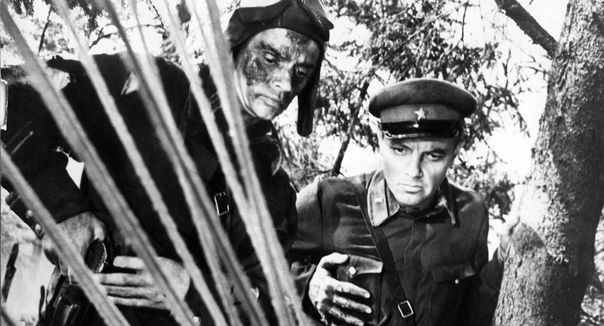 The Alive and the Dead